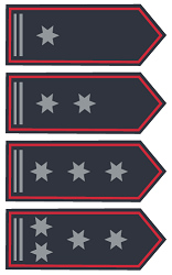 Vier verschiedene Dienstgradabbildungen untereinander mit zwei silbernen Streifen am Rand der Schulterklappe gegenüber der Spitze