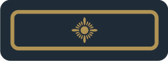 Abzeichen auf blauem Untergrund mit einem goldenen Stern zentriert, mit eingerückter goldener Umrahmung