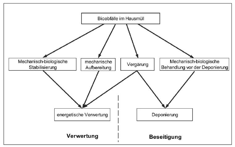 Abbildung 7: Entsorgung der Bioabfälle über den Hausmüll im Land Brandenburg