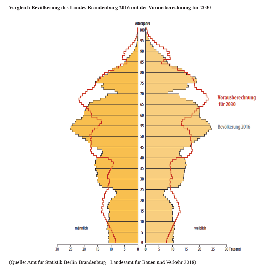 Die gegenwärtige und künftige Altersstruktur ist hier grafisch dargestellt. Zurzeit ähnelt der Lebensbaum eher einem Laubbaum mit dickem Stamm und schmaler Krone, zukünftig wird es eher in Richtung eines Nadelbaumes mit einem schmalen Stamm (geringe Kinderzahl) und einer großen Krone (viele ältere und hochbetagte Menschen) gehen.