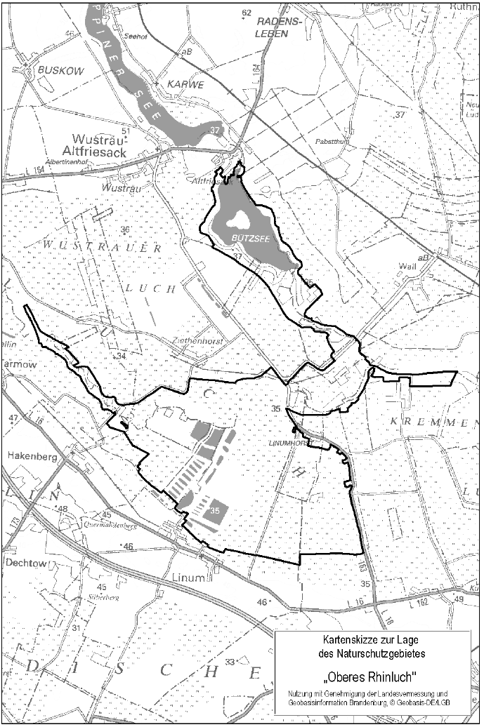 Das Naturschutzgebiet Oberes Rhinluch hat eine Größe von rund 2764 Hektar. Es umfasst folgende Flächen: Im Landkreis Ostprignitz-Ruppin im Bereich der Stadt Neuruppin in den Gemarkungen Karwe und Redernluch, im Bereich der Gemeinde Fehrbellin in den Gemarkungen Altfriesack, Hakenberg, Langen, Linum, Tarmow, Wall und Wustrau. Im Landkreis Oberhavel im Bereich der Stadt Kremmen in den Gemarkungen Beetz, Flatow, Linumhorst, Staffelde 1 und Staffelde.