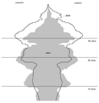 Lebensbaum