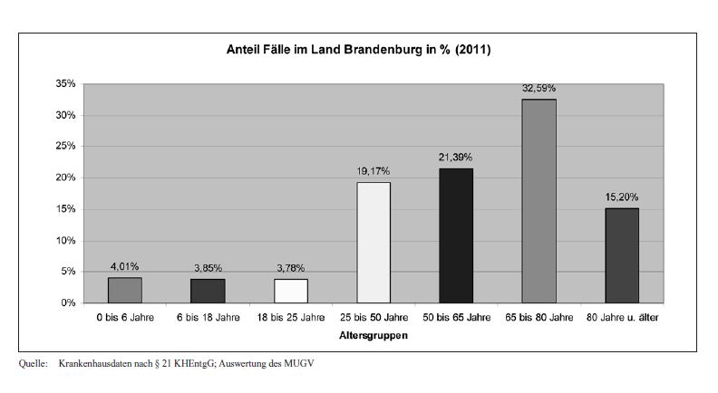 Diagramm Anteil Fälle im Land Brandenburg in Prozent (2011)