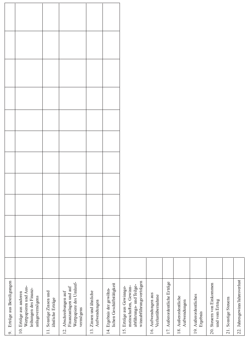 Anlage 6 zu § 24 Abs. 3 (Formblatt 6 - Erfolgsübersicht -, Seite 2)