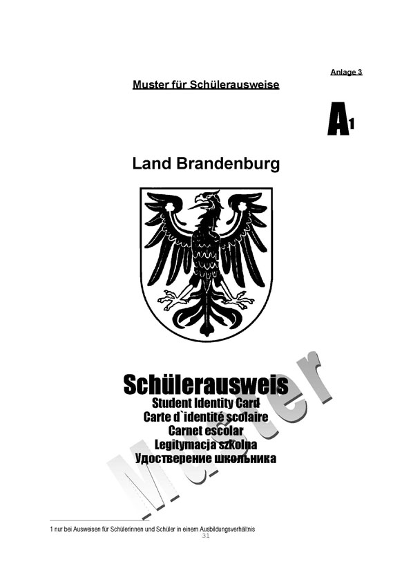 Muster: Schülerausweis